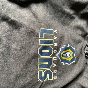 Champion Eco Fleece Hoodie in Dark Gray